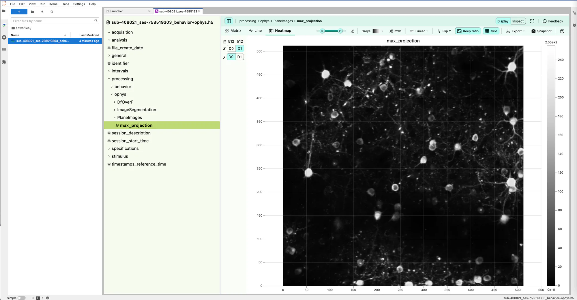 JupyterLab H5Web Example
